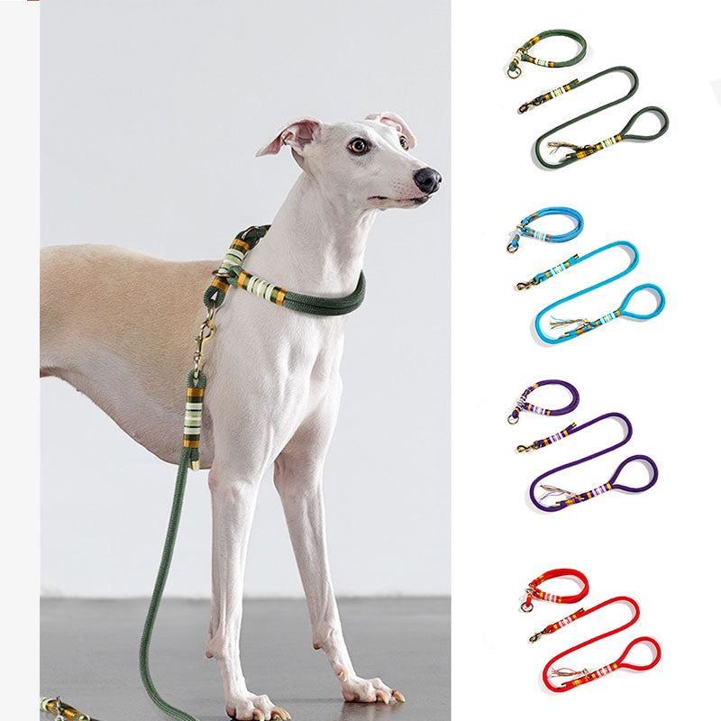 Corde tressée tricotée à la main, laisse et collier de dressage pour chiens sans traction