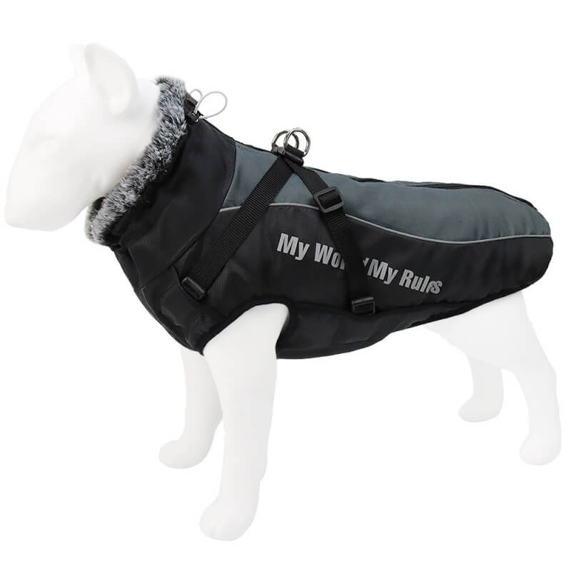 Veste épaisse à col haut pour chien, accessoires chauds et Cool, manteau en coton