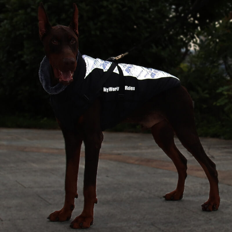 Veste épaisse à col haut pour chien, accessoires chauds et Cool, manteau en coton