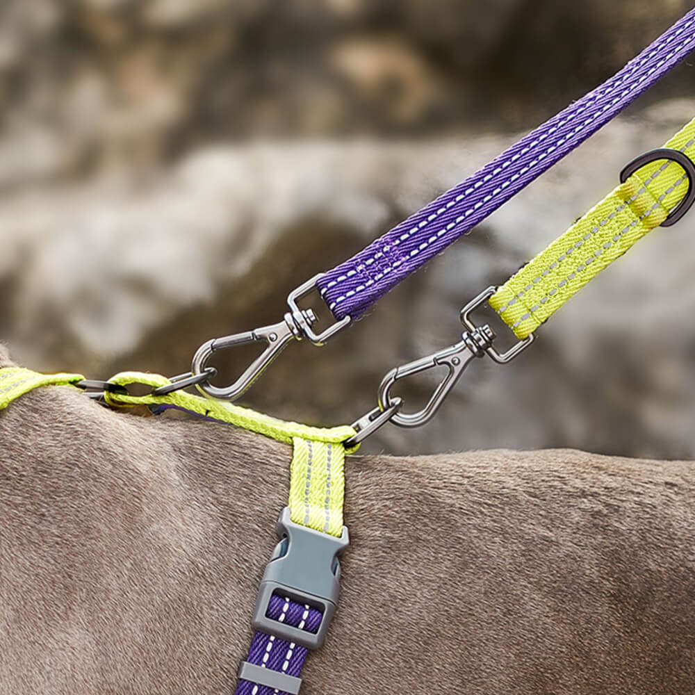 Reflective Buckle-Neck Balance Harness No-Pull Dog Harness