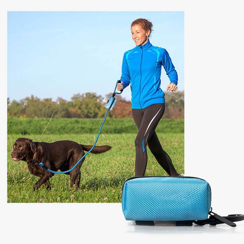 Portable Oxford Fabric Dog Walking Bag Dog Waste Bag Dispenser