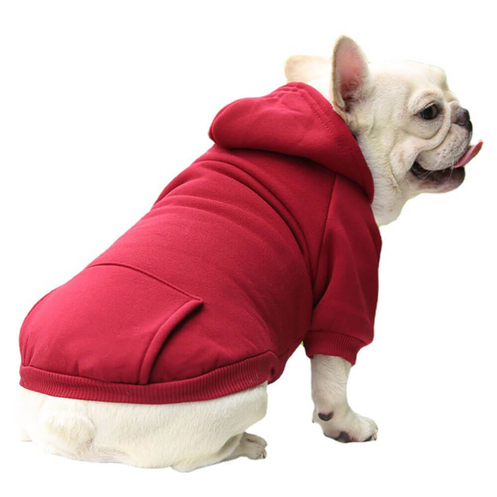 Sweats à capuche colorés et confortables pour chien – Parfaits pour un confort par tous les temps.