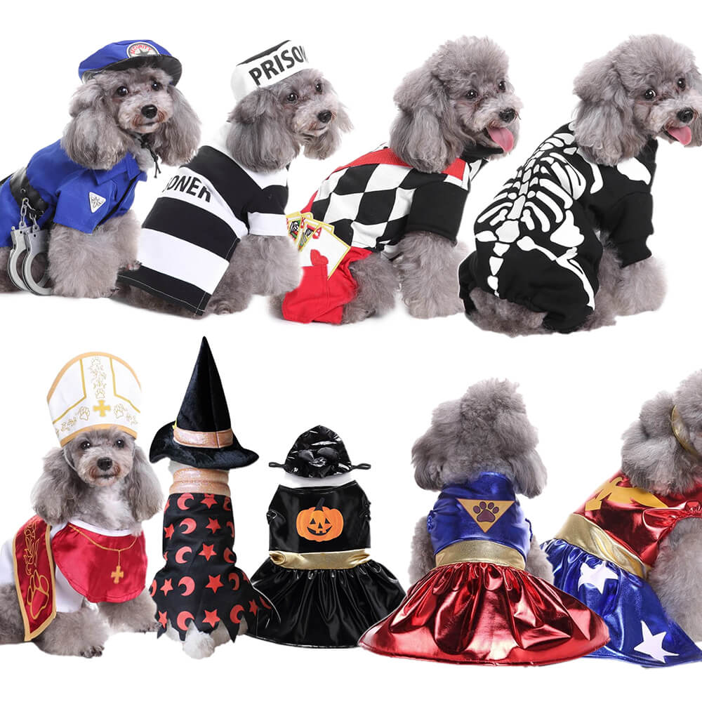 Knitted Striped Pumpkin Wizard Multi-Character Dog Costume