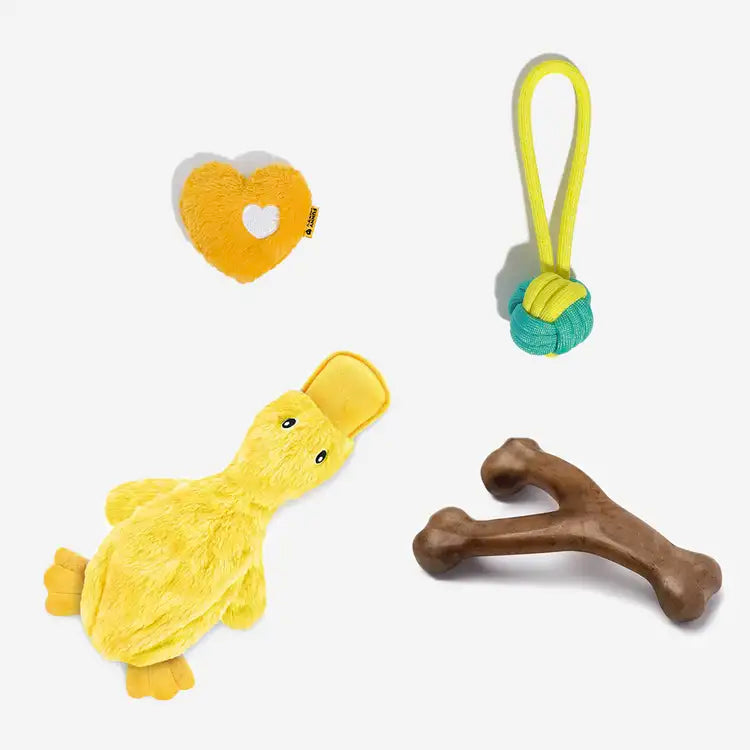 Ensemble de jouets interactifs à mâcher pour chien mignon – Amusant et ludique