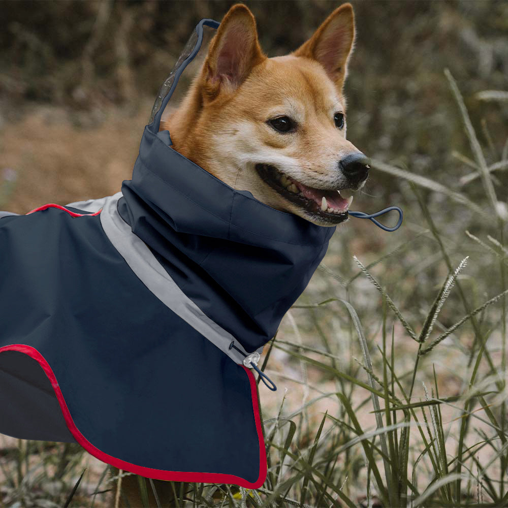 Imperméable réfléchissant réglable avec poche pour chien, imperméable assorti pour rester au sec