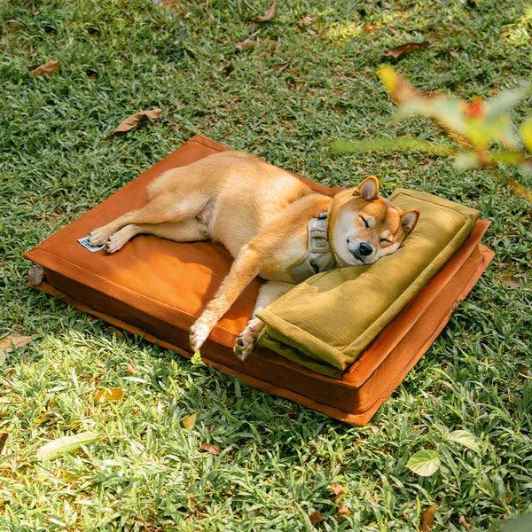 Anti-Anxiety with Sponge Support Deep Sleeping Dog Bed