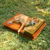 Anti-Anxiety with Sponge Support Deep Sleeping Dog Bed
