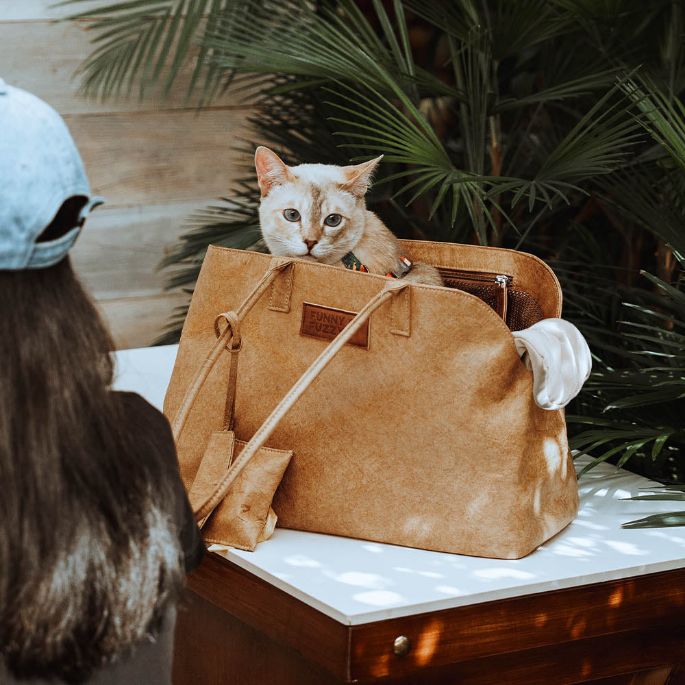 Vogue Eco-friendly Dupont Waterproof Pet Carrier - City Roamer