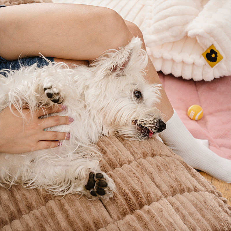 Make Waffle Biscuit Sofa Cover – Cozy Soft Flannel & Breathable Pet Mat