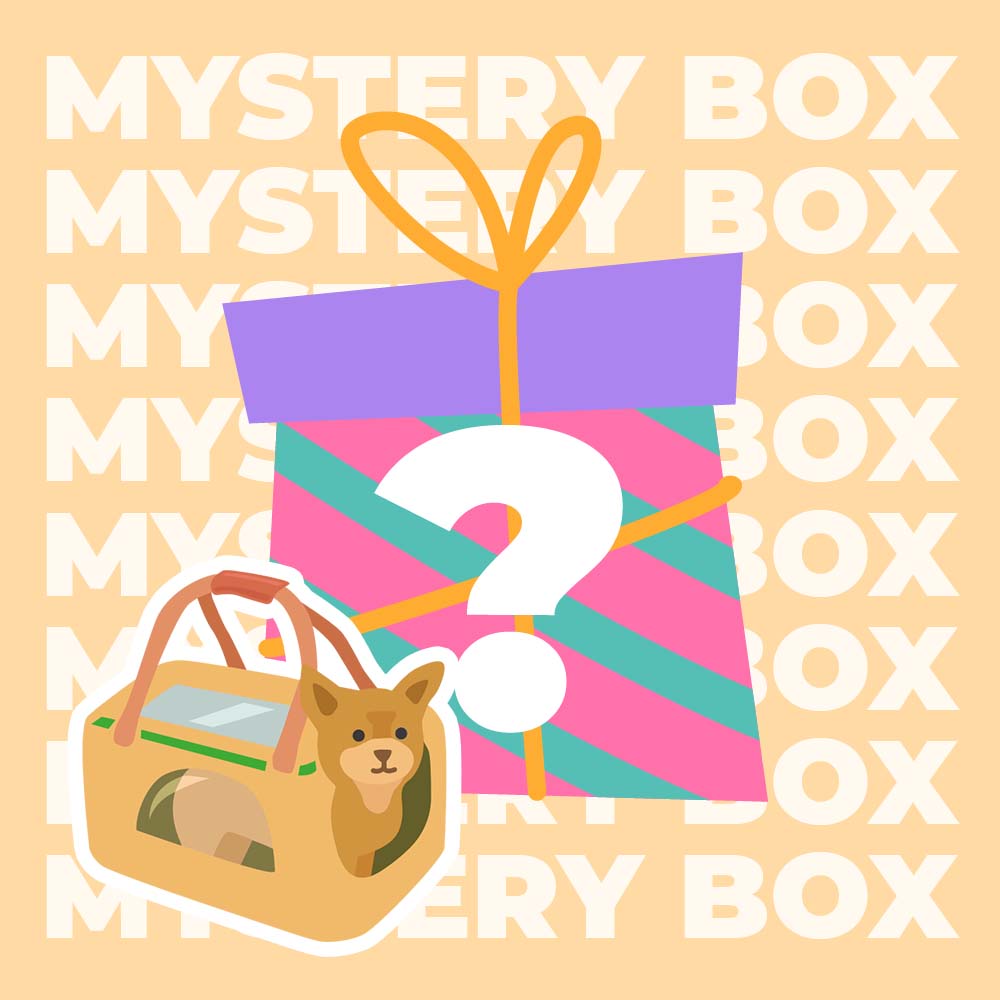 Mystery Box - Premium Carrier Bag - Random 1pc