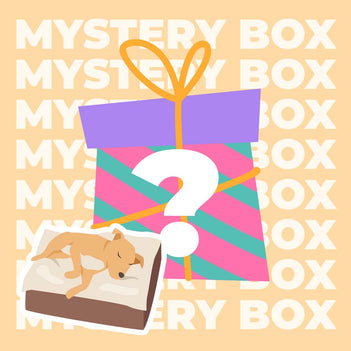 Mystery Box - Premium Pet Mat- Random - 1pc