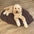 Leaf Shape Dog Blanket - FUNNYFUZZY