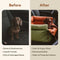 Urban Voyager Dog Car Booster Bed