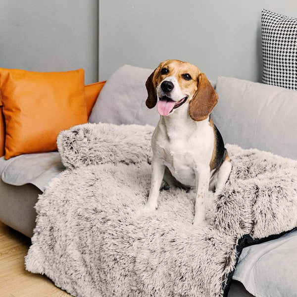 Lit pour chien protecteur de meubles apaisant - Dossier pelucheux