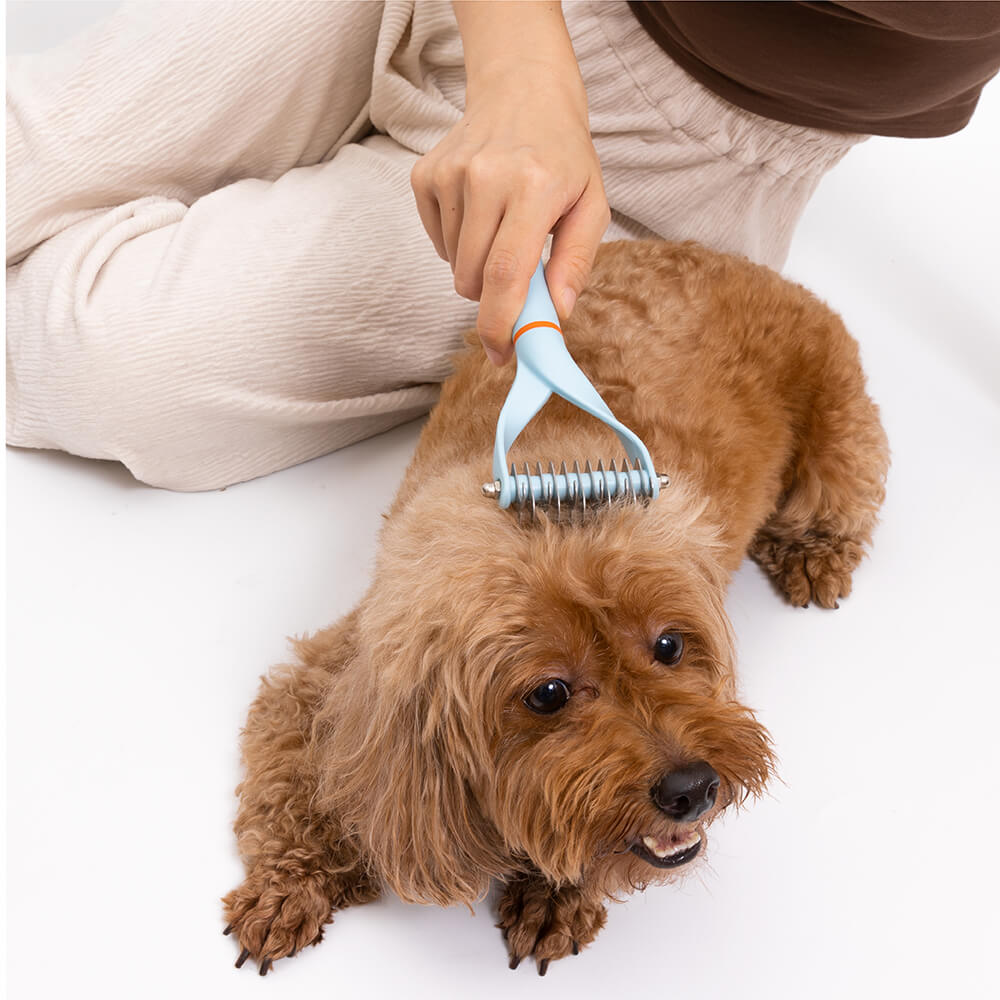 Râteau à peigne démêlant à lames double face avec ruban pour animaux de compagnie