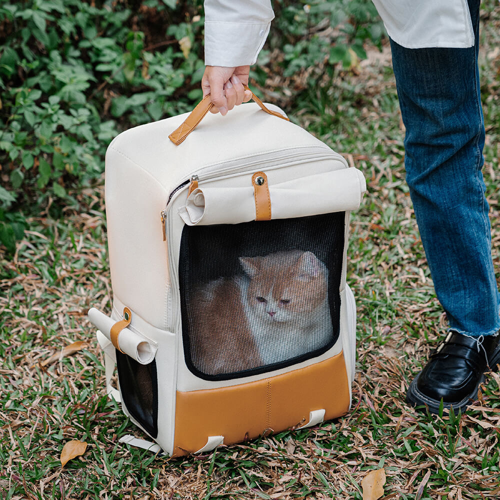 Sac à dos carré respirant et pliable pour animaux de compagnie, sac à dos pour chat