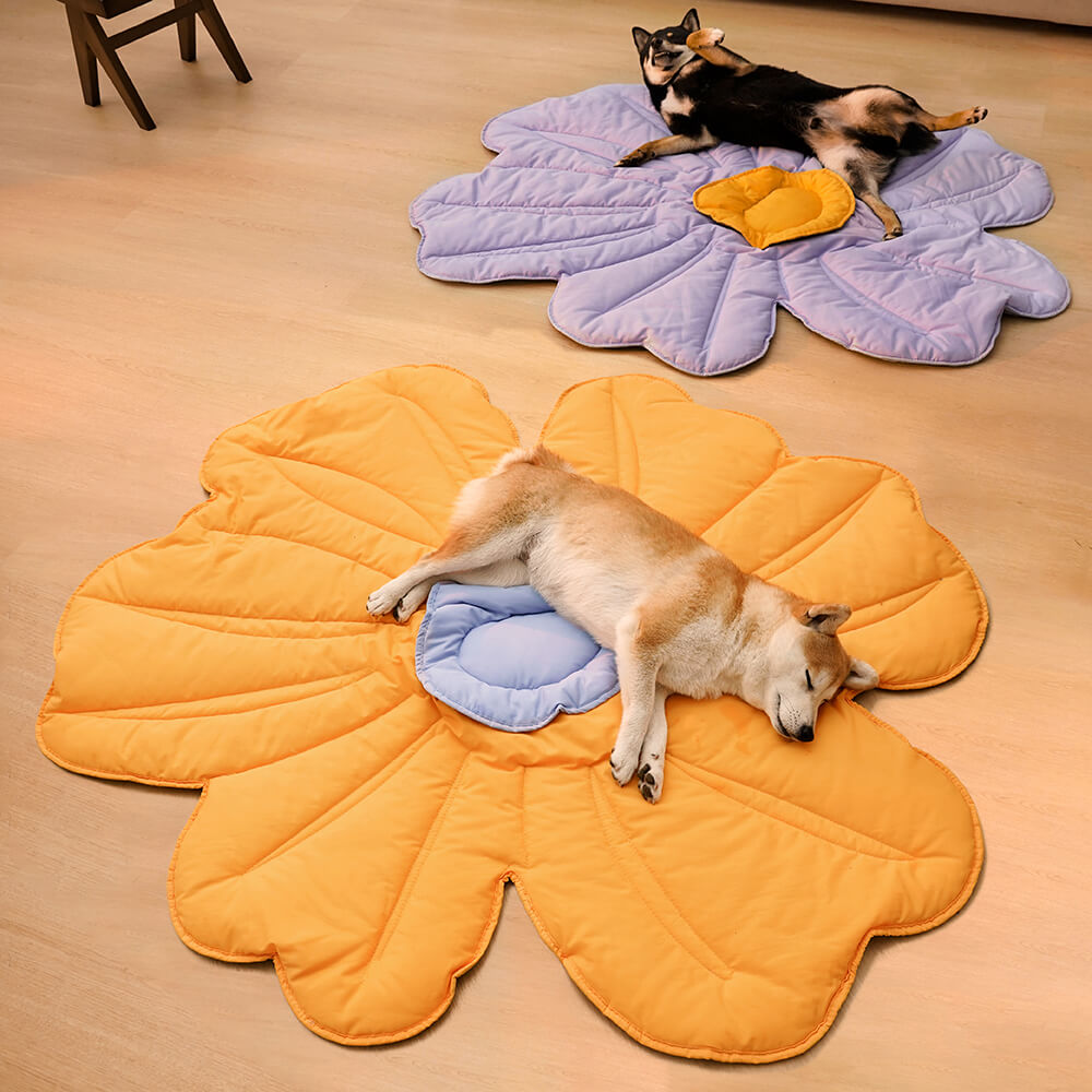 Couverture de chien de tapis humain de forme de fleur très grande