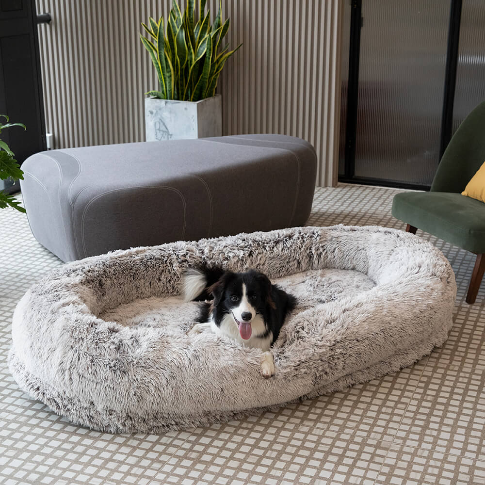 Luxury Human Dog Bed by FunnyFuzzy Super Large Cozy and Waterproof