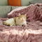 Super Soft Faux Fur & Velvet Luxury Pet Throw Blanket Human Blanket