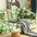 Super Soft Floral Anti-scratch Furniture Protector Couch Cover