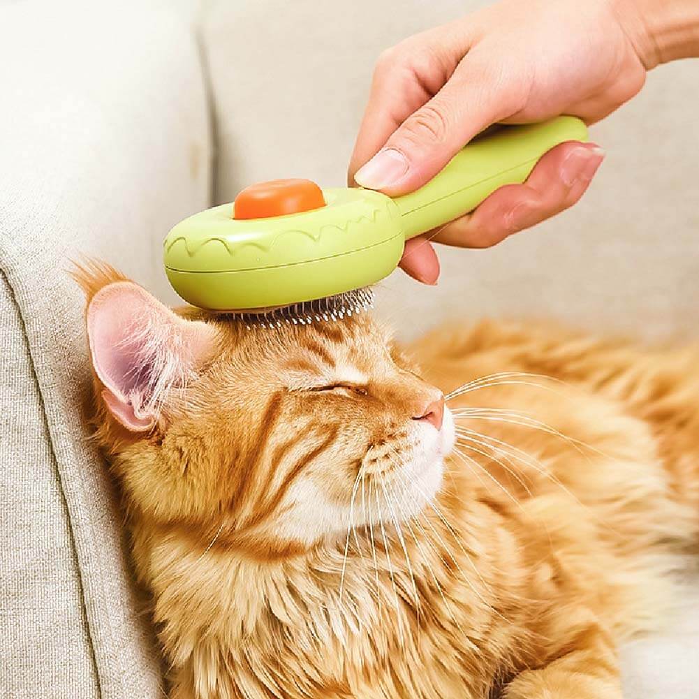 Brosse pour animaux - Donut